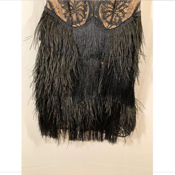 NEW $648 Tadashi Shoji‎ Aubrie Mini Fringe Lace Great Gatsby Dress [ SZ 2 ] - Picture 6 of 13